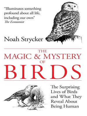 cover image of The Magic & Mystery of Birds